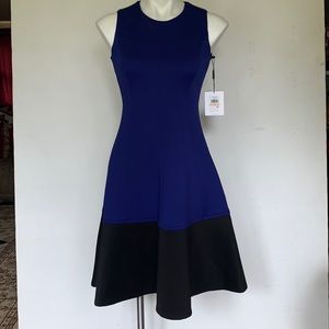 Calvin Klein Royal Blue With Black Bottom Dress